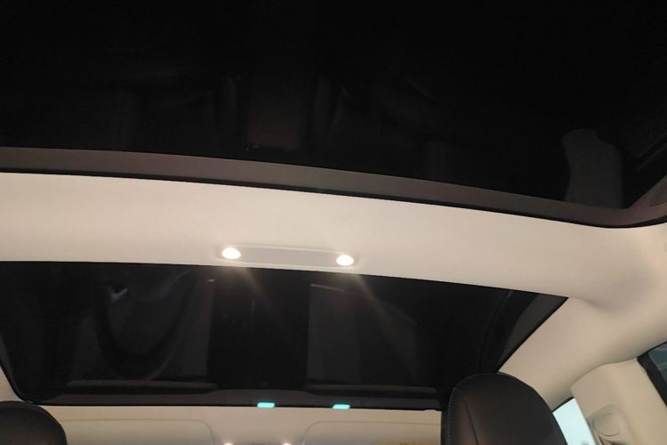 Tesla Model 3 2020 immagine di auto #20