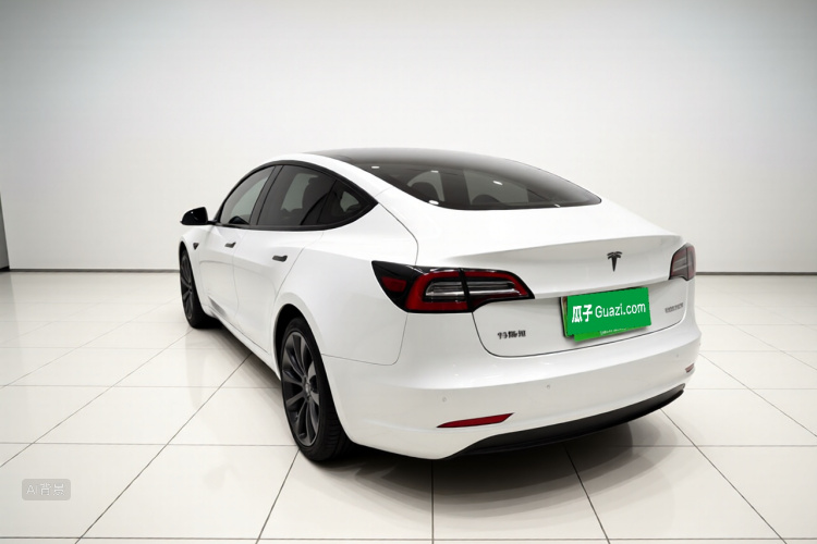 Tesla Model 3 2022 #5 Tesla Model 3 2022 car image #5