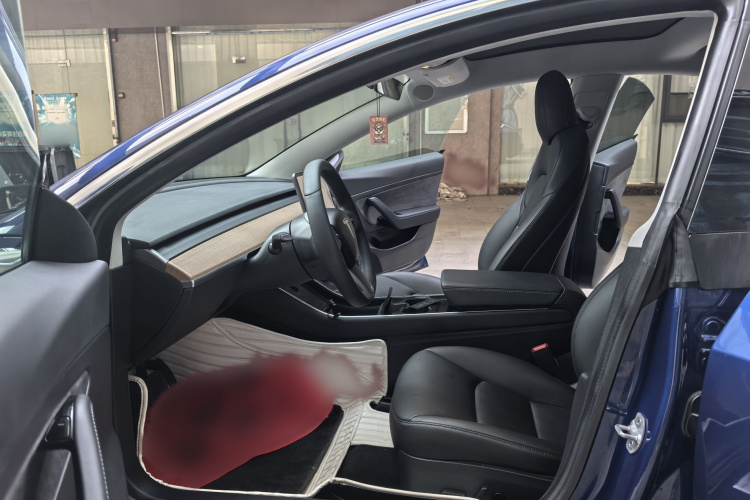 Tesla Model 3 2020 immagine di auto #10