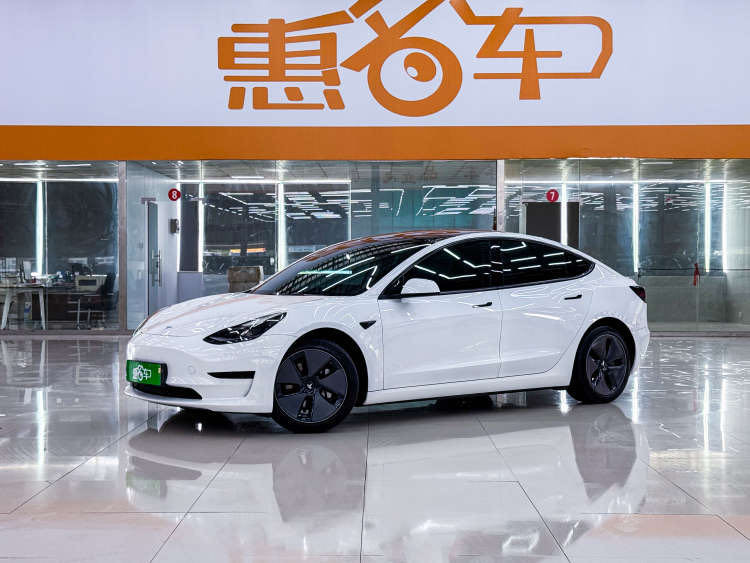 Tesla Model 3 2021 #2 Tesla Model 3 2021 car image #2