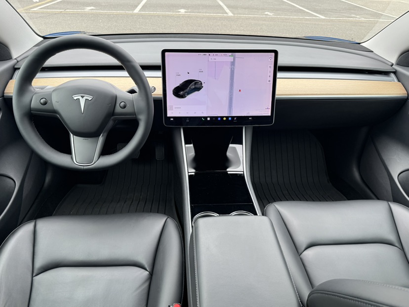 Tesla Model 3 2020 #5 Tesla Model 3 2020 car image #5