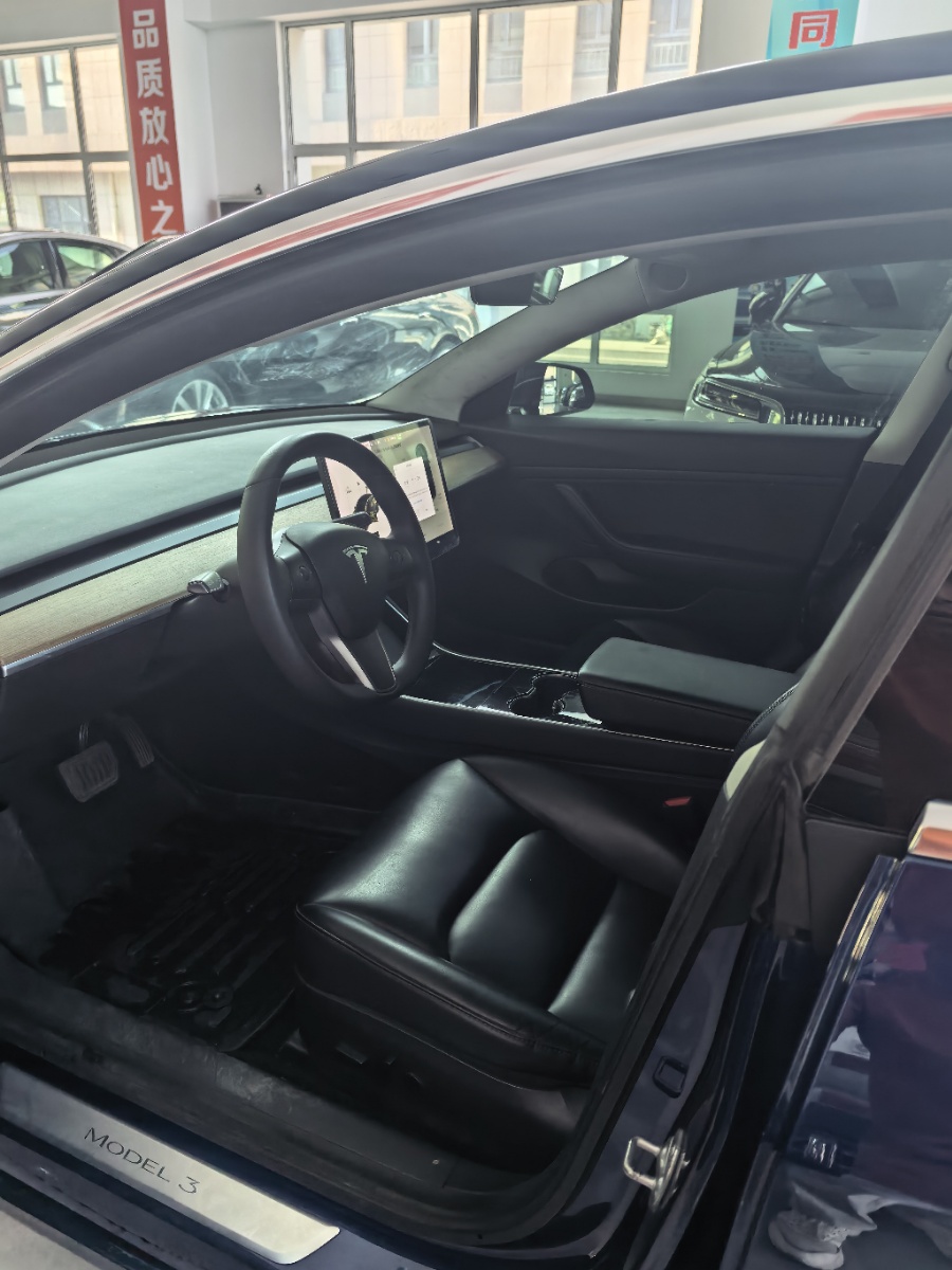 Tesla Model 3 2020 car image #4