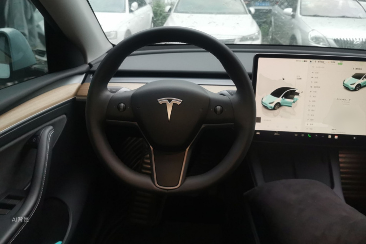 Tesla Model Y 2022 car image #12