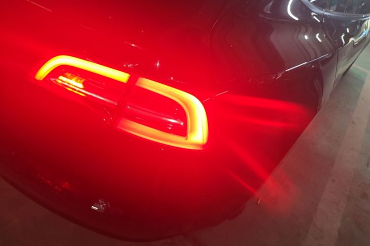 Tesla Model 3 2021 car image #8