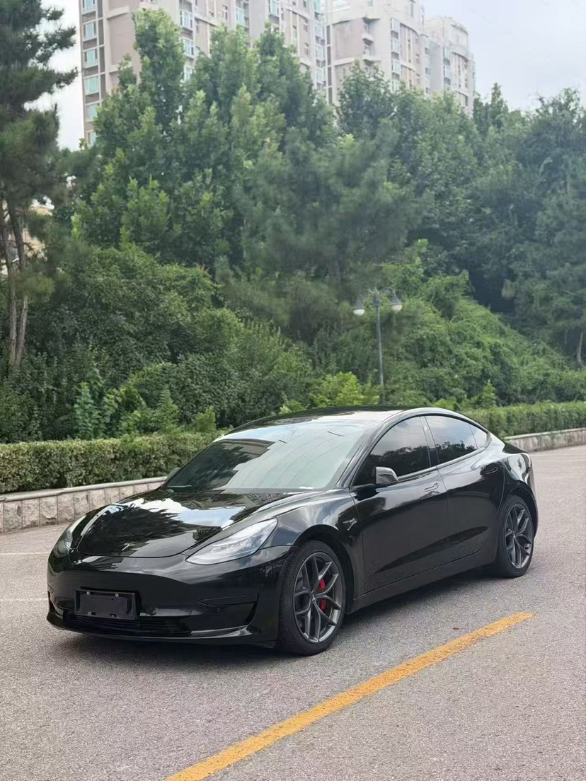 Tesla Model 3 2021 #2 Tesla Model 3 2021 car image #2