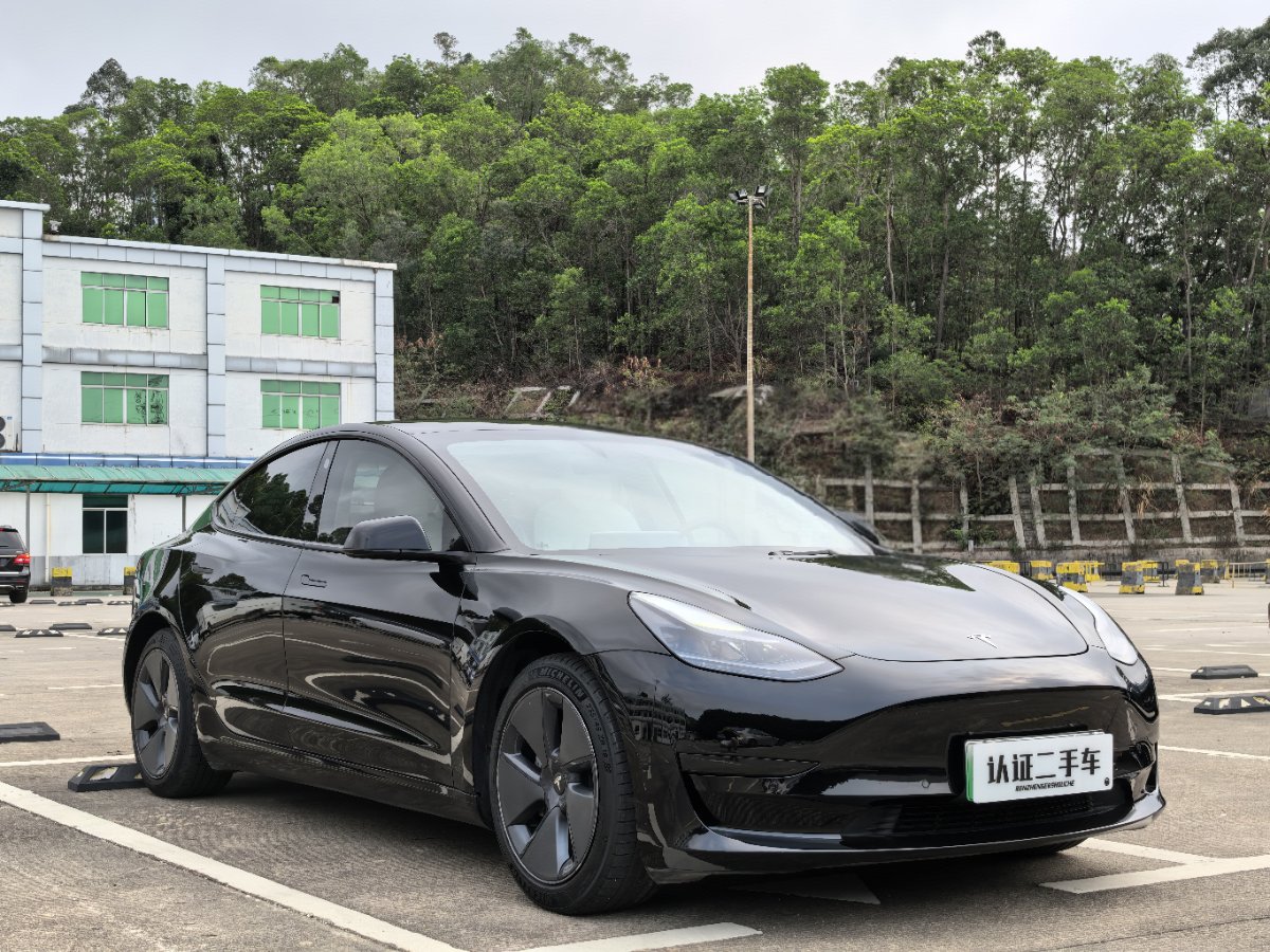 Tesla Model 3 2021 car image #3