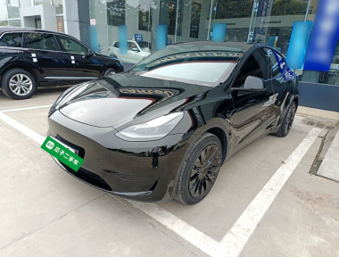 Tesla Model Y 2024 car image 