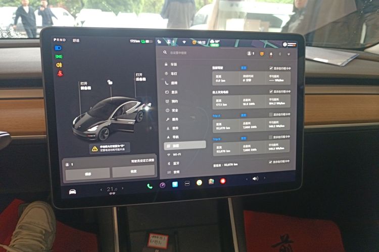 Tesla Model 3 2021 #13 Tesla Model 3 2021 car image #13