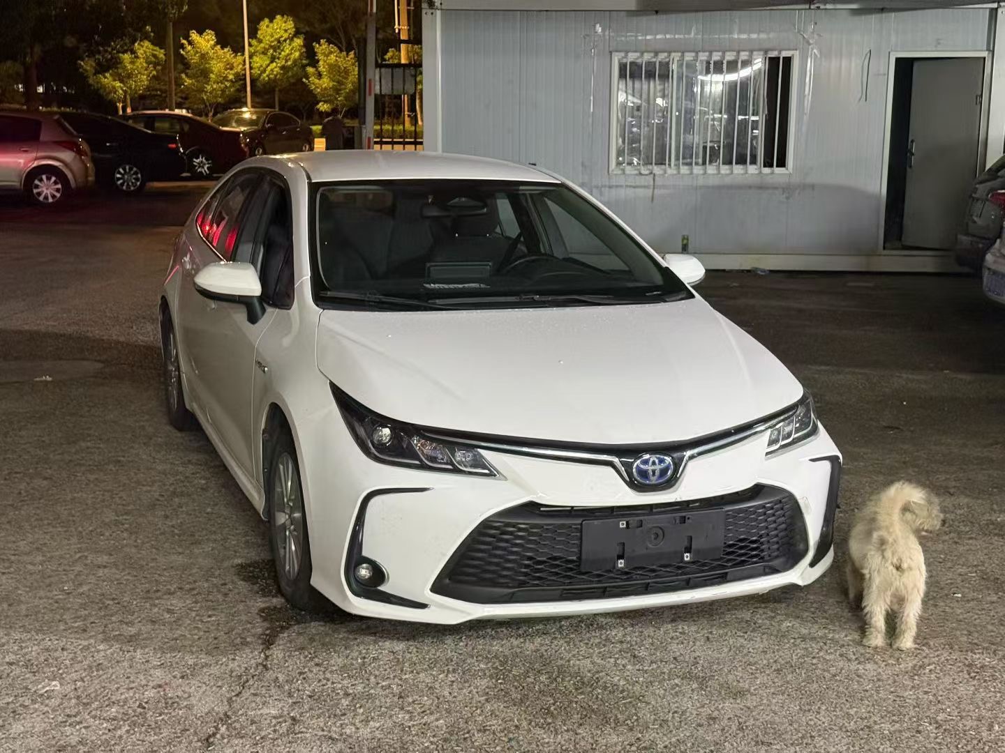 Toyota Corolla 2023 #3 Toyota Corolla 2023 صورة سيارة #3