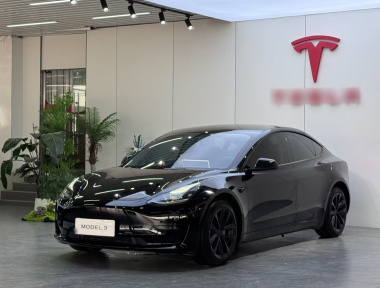 Tesla Model 3 2023 Tesla Model 3 2023 car image