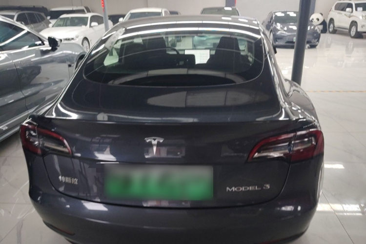 Tesla Model 3 2021 #6 Tesla Model 3 2021 immagine di auto #6