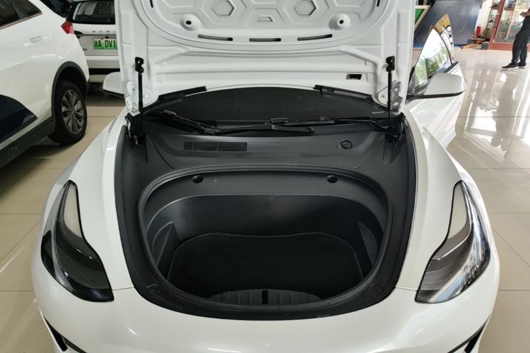 Tesla Model 3 2021 #22 Tesla Model 3 2021 car image #22