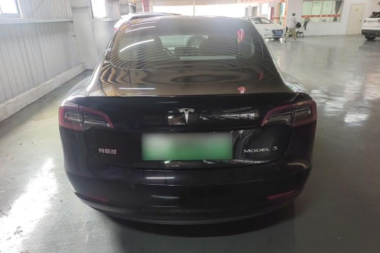 Tesla Model 3 2021 #6 Tesla Model 3 2021 car image #6