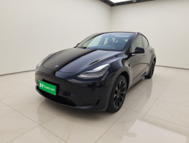 Tesla Model Y 2022 Tesla Model Y 2022 car image