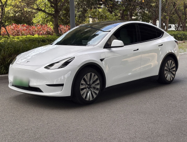 Tesla Model Y 2022 Tesla Model Y 2022 car image