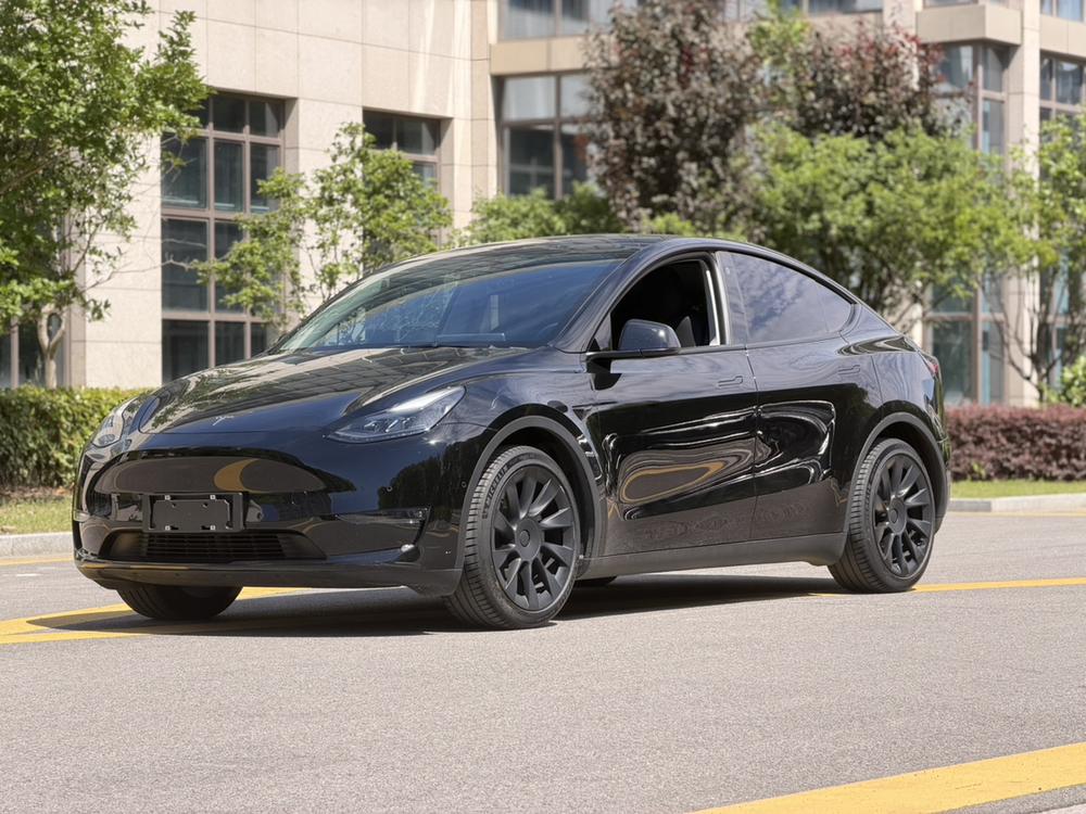 Tesla Model Y 2021 immagine di auto 