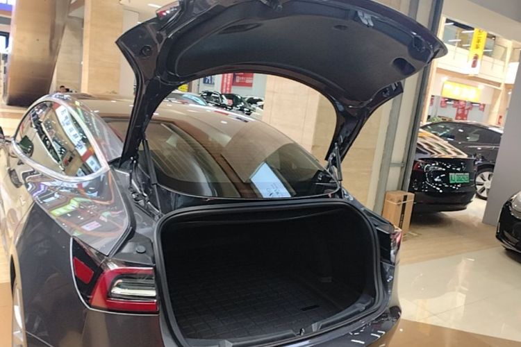 Tesla Model 3 2020 car image #19