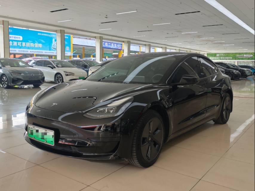 Tesla Model 3 2023 Tesla Model 3 2023 car image