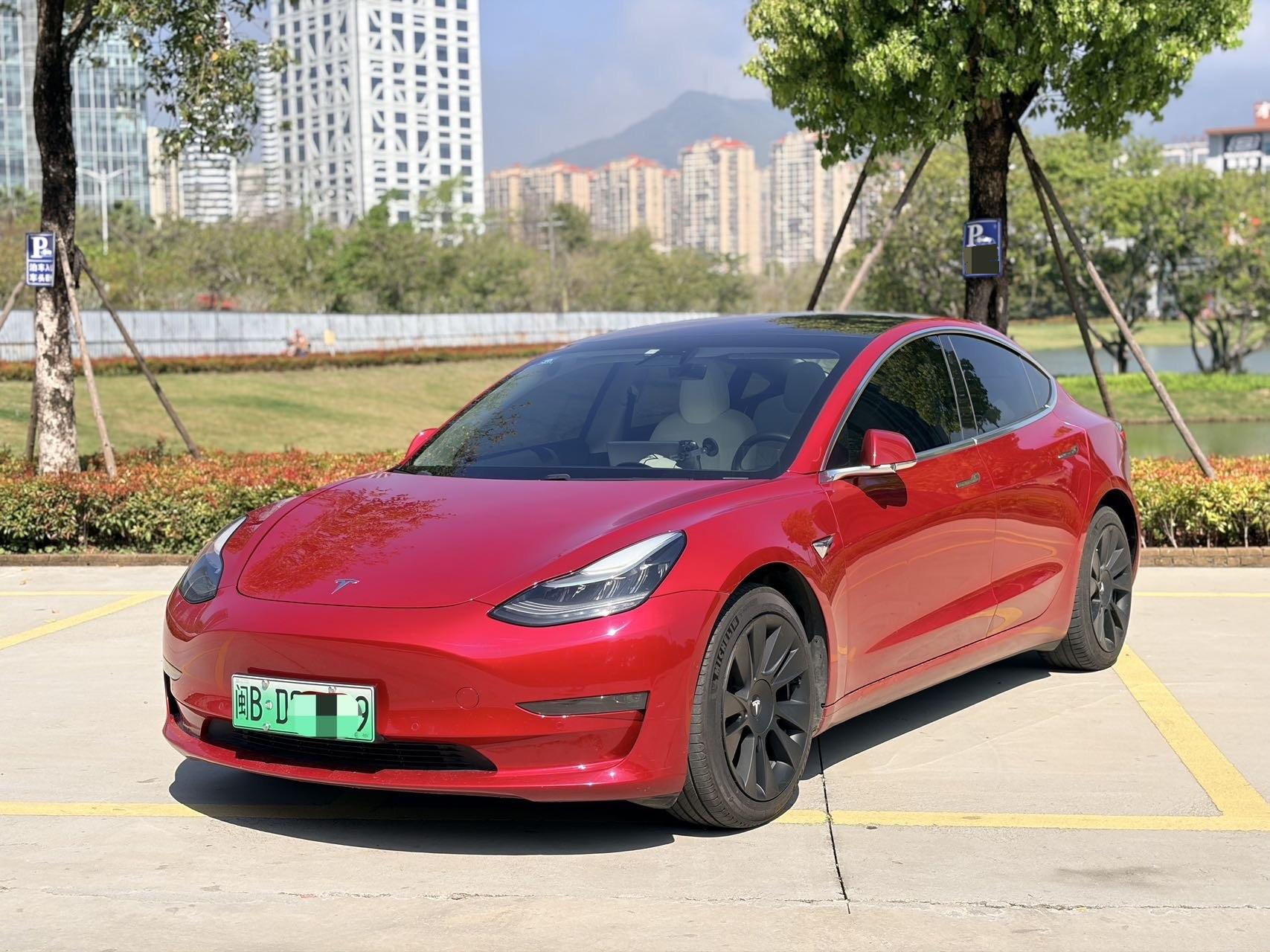 Tesla Model 3 (Imported) 2019 汽车图片 