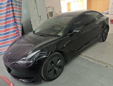 Tesla Model 3 2022 Tesla Model 3 2022 car image