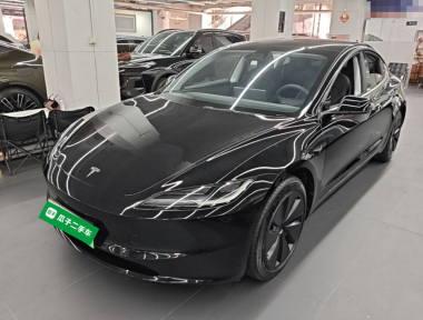 Tesla Model 3 2023 car image 