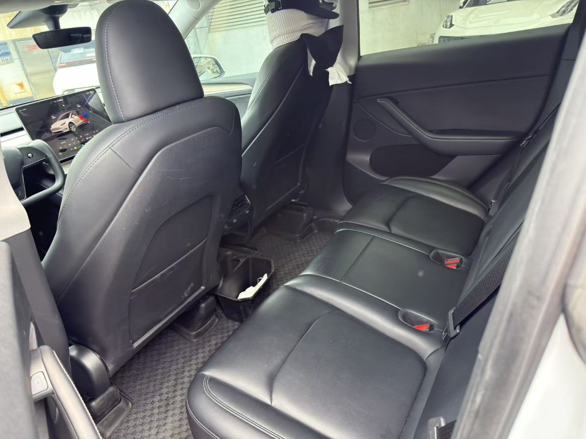 Tesla Model Y 2023 car image #9