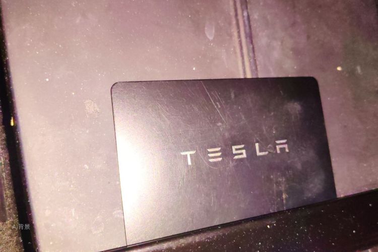 Tesla Model 3 2020 #10 Tesla Model 3 2020 car image #10