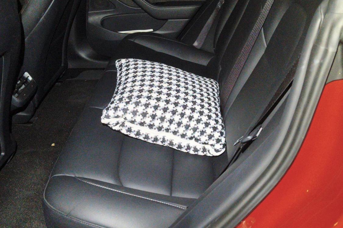 Tesla Model 3 2021 #19 Tesla Model 3 2021 car image #19