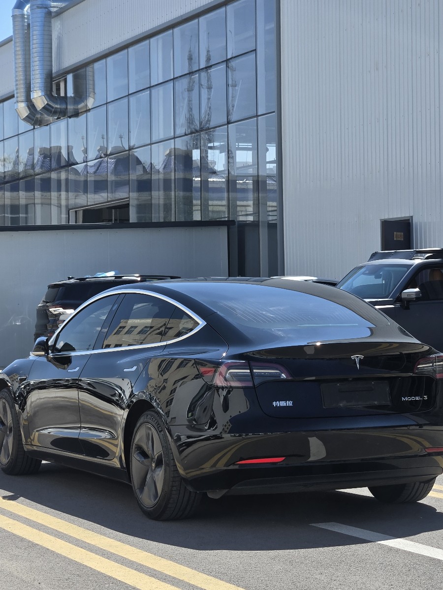 Tesla Model 3 2020 #8 Tesla Model 3 2020 car image #8