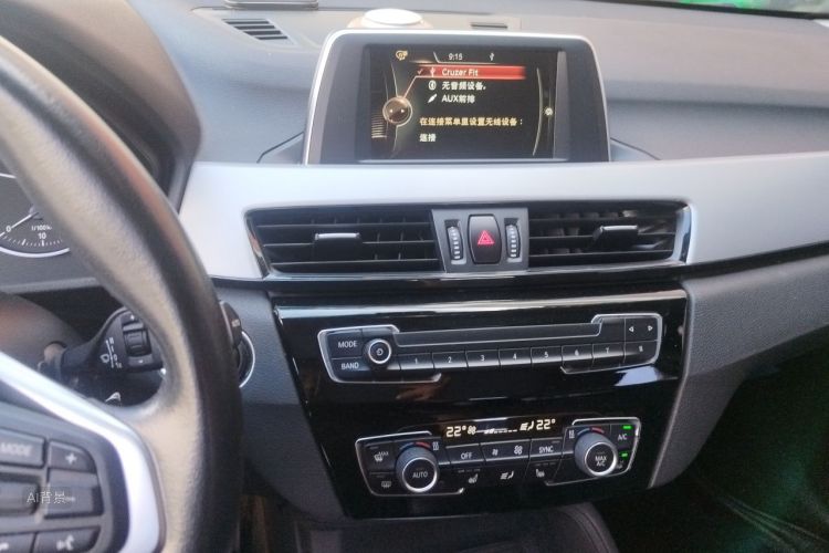 BMW X1 2017 car image #15