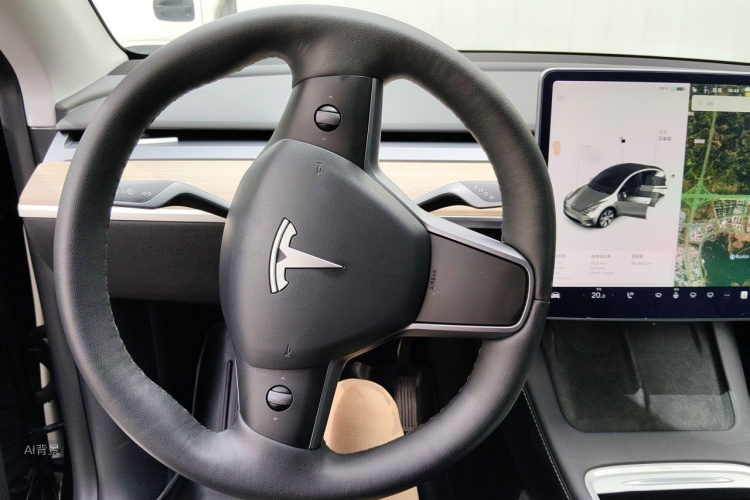 Tesla Model Y 2021 car image #12