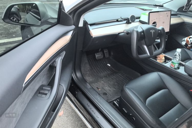 Tesla Model 3 2023 car image #18