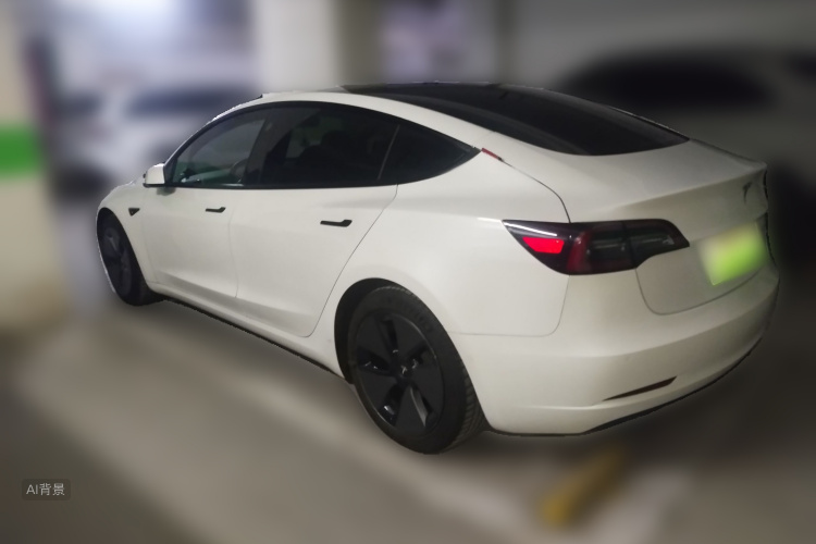 Tesla Model 3 2021 #5 Tesla Model 3 2021 car image #5
