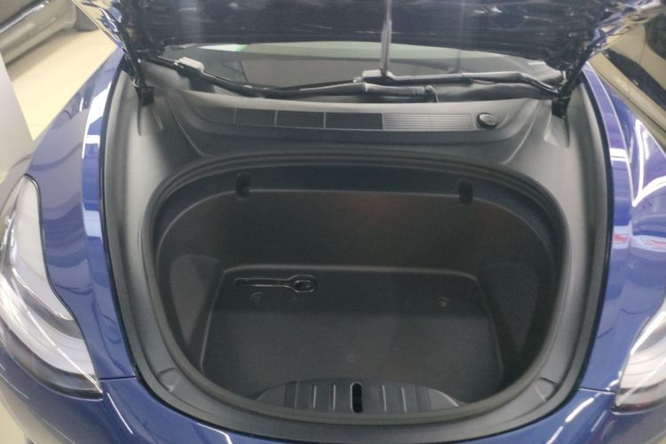 Tesla Model 3 2020 immagine di auto #20