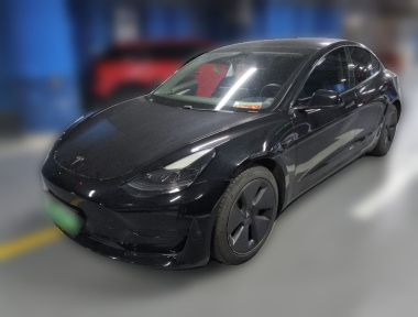 Tesla Model 3 2021 car image 