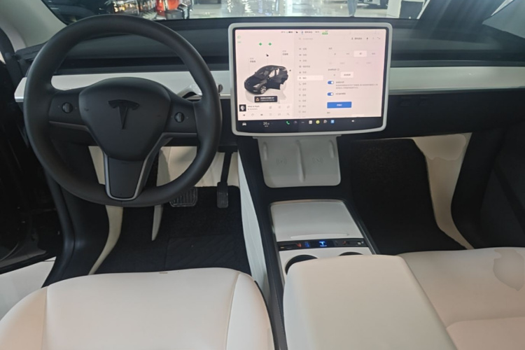 Tesla Model Y 2023 car image #10