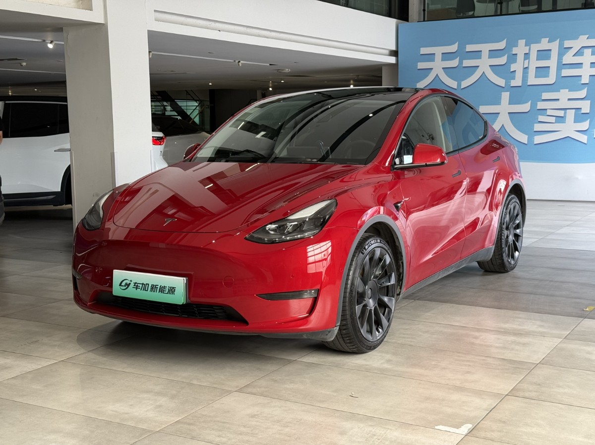 Tesla Model Y 2021 Tesla Model Y 2021 car image