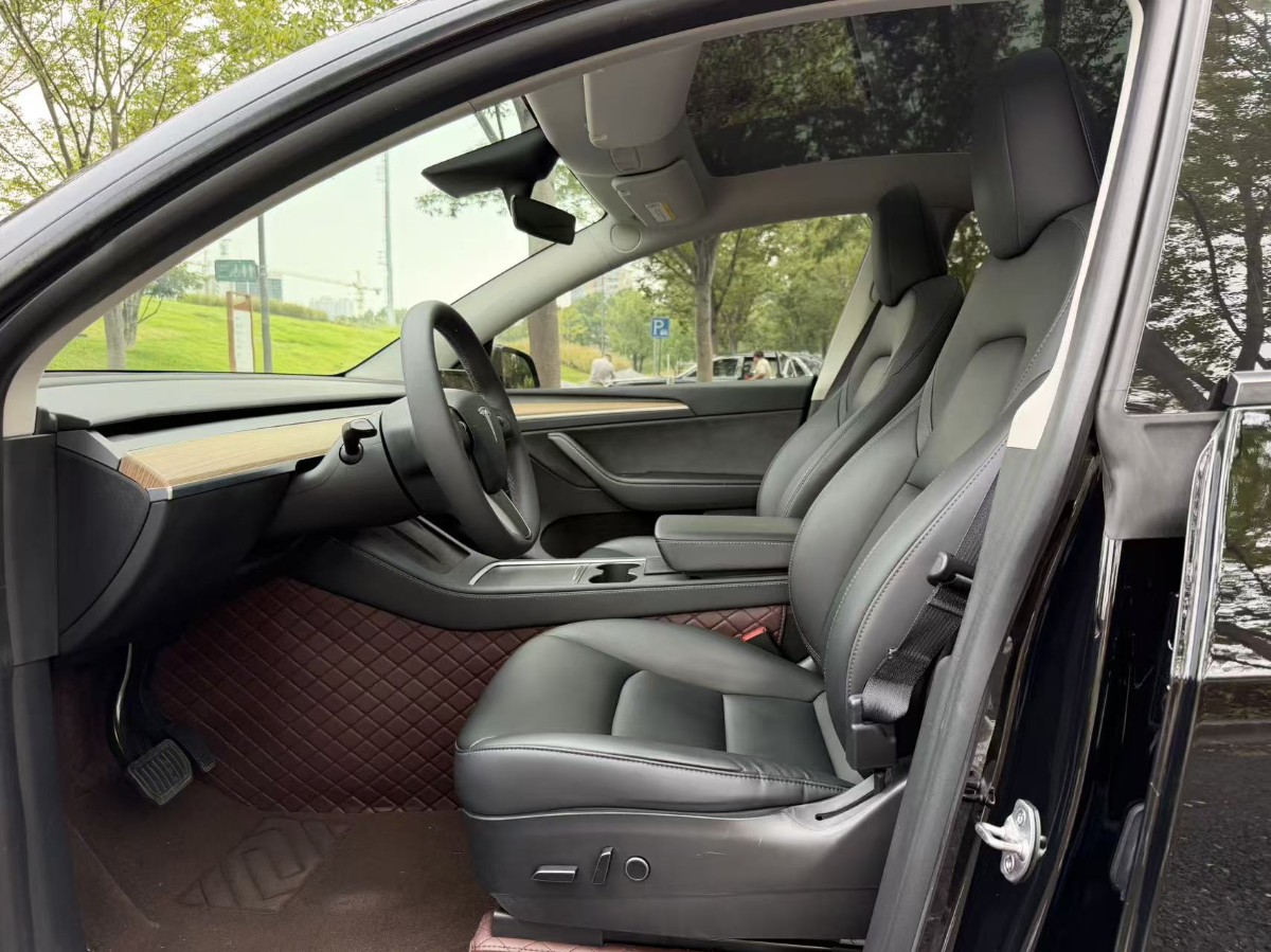 Tesla Model Y 2022 car image #13