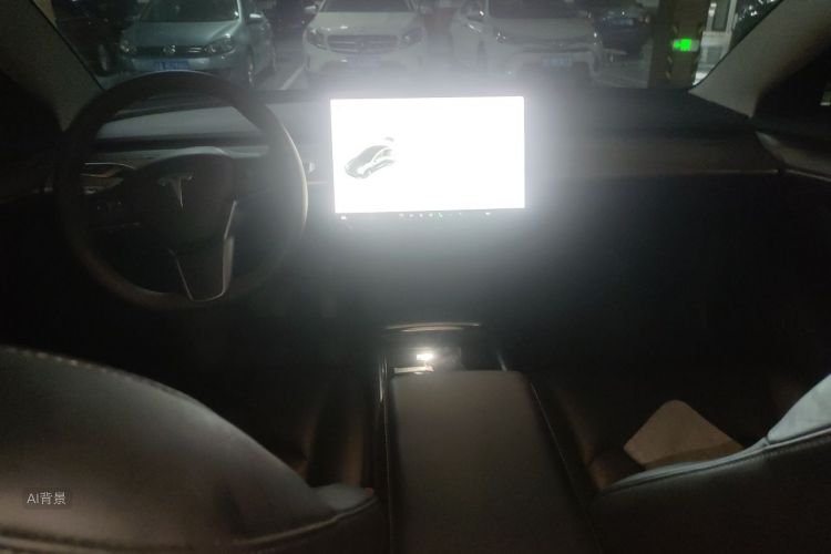 Tesla Model 3 2021 car image #11
