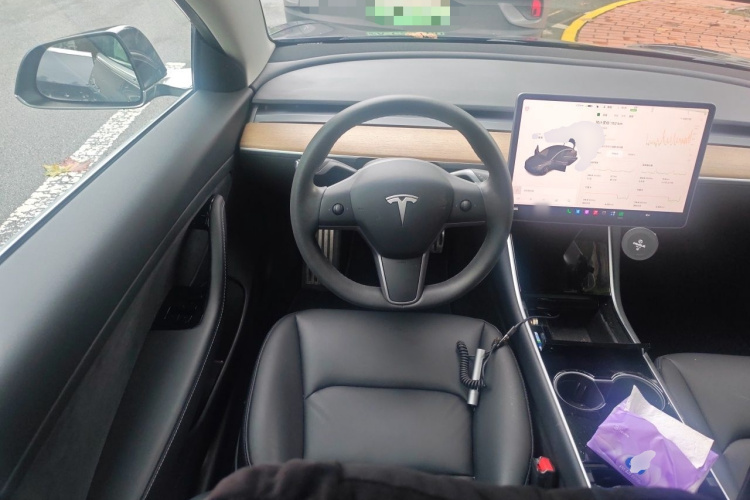 Tesla Model 3 2020 car image #11