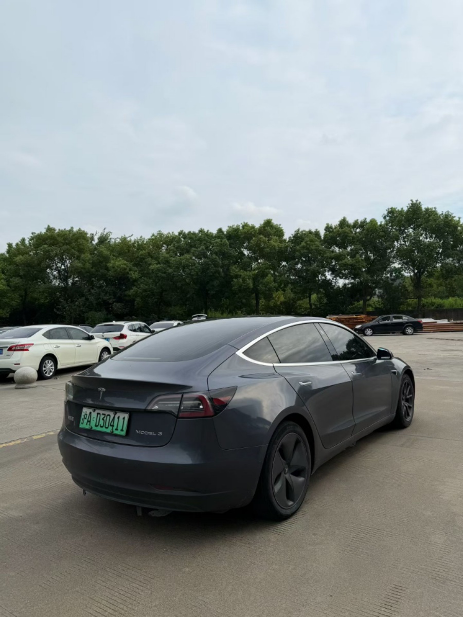 Tesla Model 3 2020 car image #7