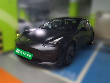 Tesla Model 3 2022 Tesla Model 3 2022 صورة سيارة