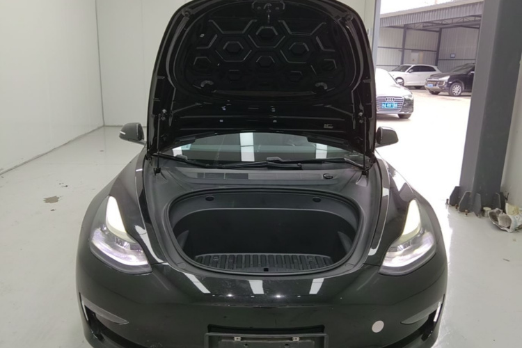 Tesla Model 3 2021 car image #22