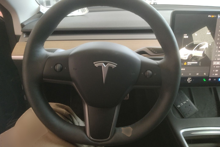 Tesla Model 3 2022 #11 Tesla Model 3 2022 car image #11