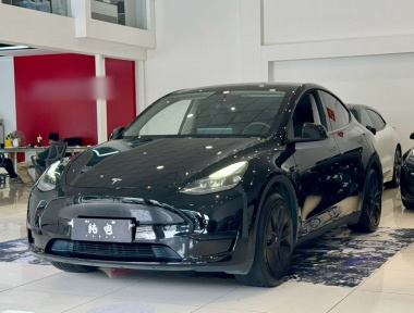 Tesla Model Y 2023 Tesla Model Y 2023 car image