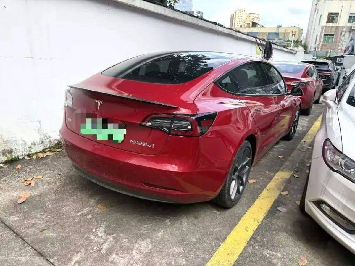 Tesla Model 3 2021 #4 Tesla Model 3 2021 car image #4