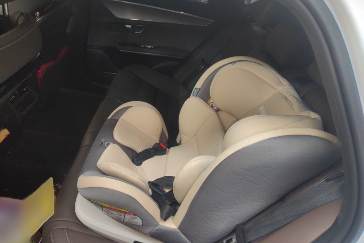 BYD Han 2021 #14 BYD Han 2021 imagen de coche #14