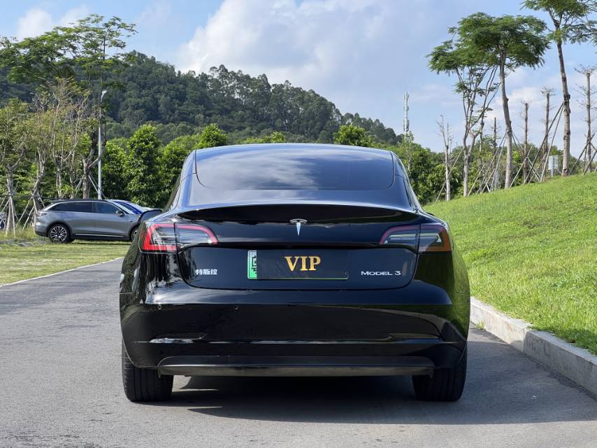 Tesla Model 3 2023 car image #5