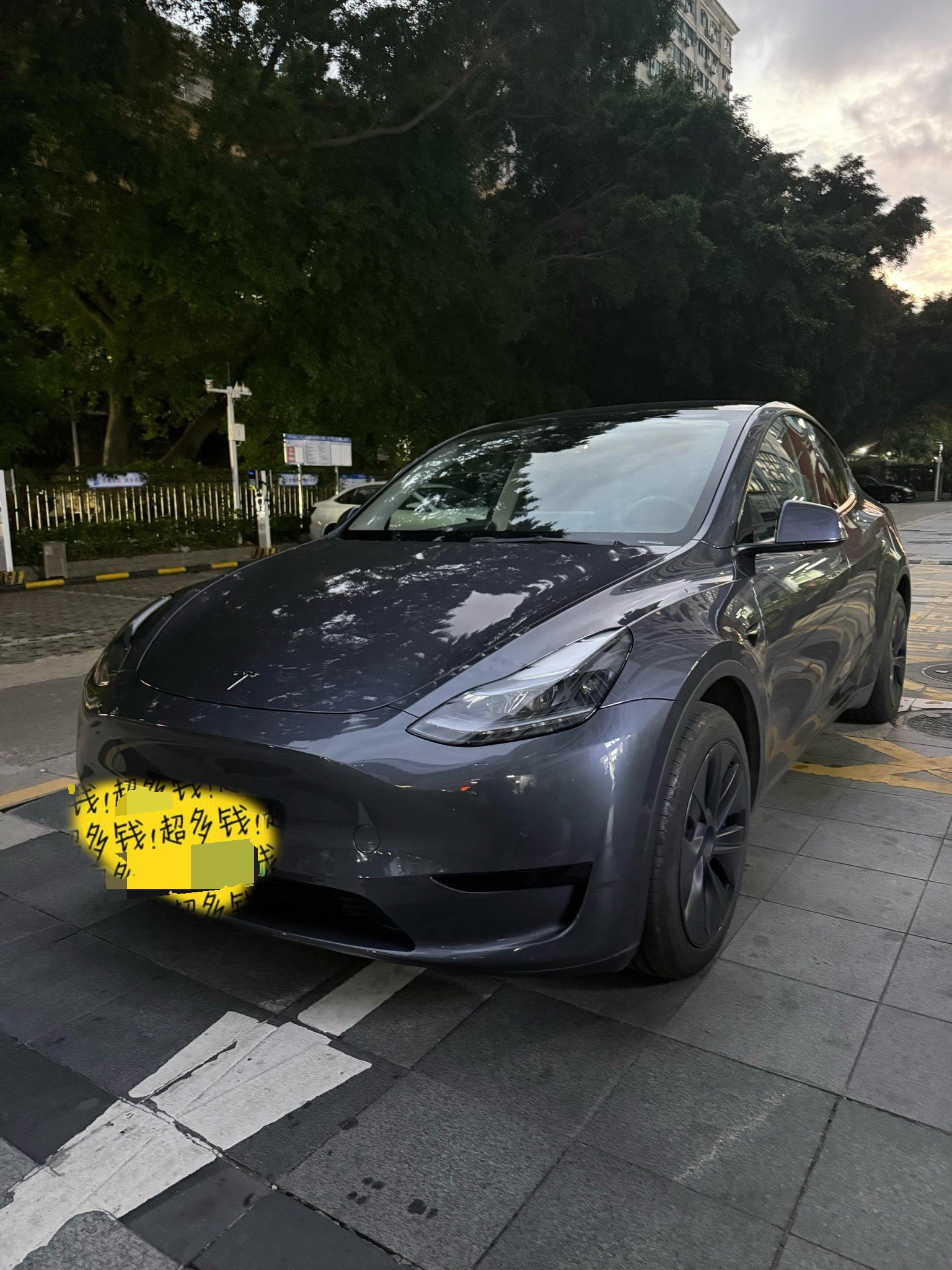 Tesla Model Y 2024 immagine di auto 