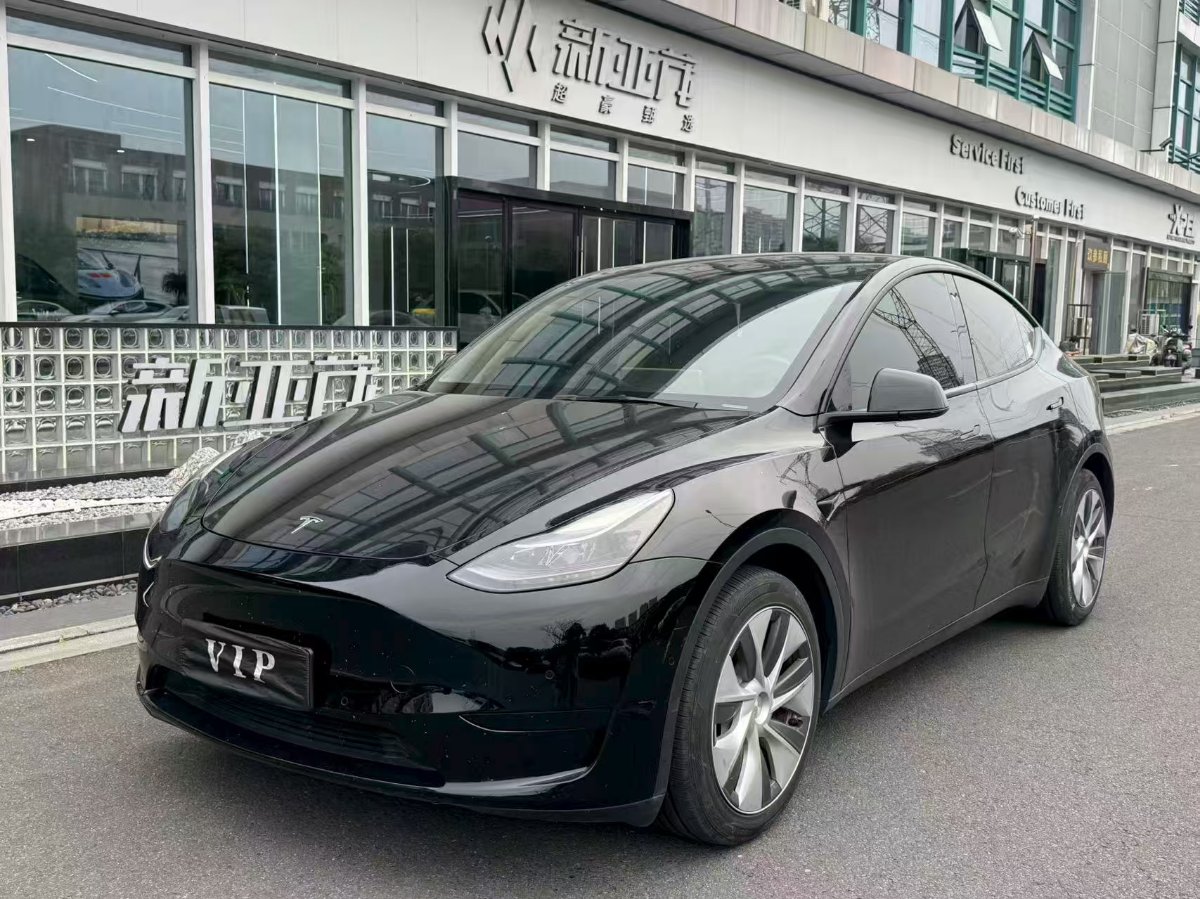 Tesla Model Y 2022 car image #2